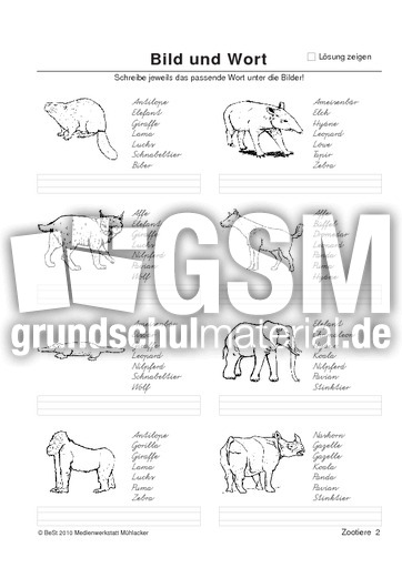BuW Zootiere2.pdf